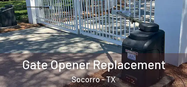 Gate Opener Replacement Socorro - TX