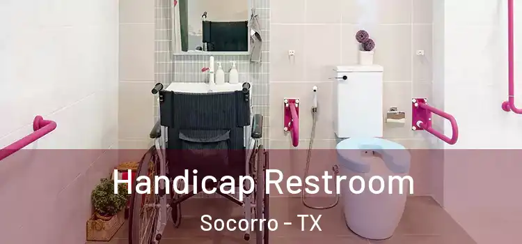 Handicap Restroom Socorro - TX