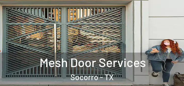 Mesh Door Services Socorro - TX