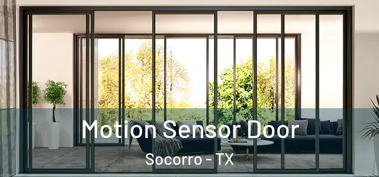 Motion Sensor Door Socorro - TX